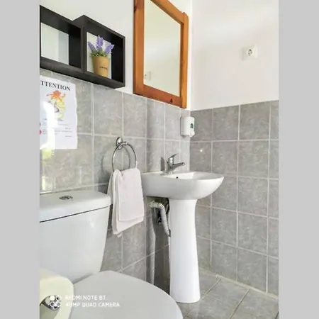 Terra Vine Collection - Raisin House *