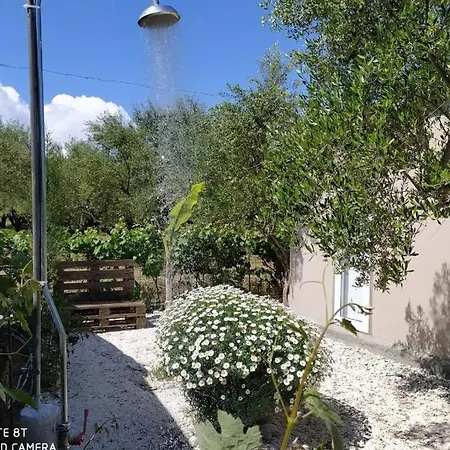 Terra Vine Collection - Raisin House Vakantiehuis