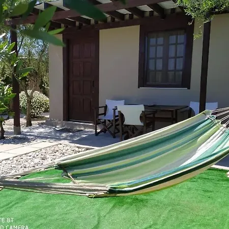 Terra Vine Collection - Raisin House