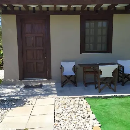 Terra Vine Collection - Raisin House *