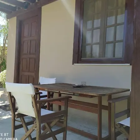 Terra Vine Collection - Raisin House