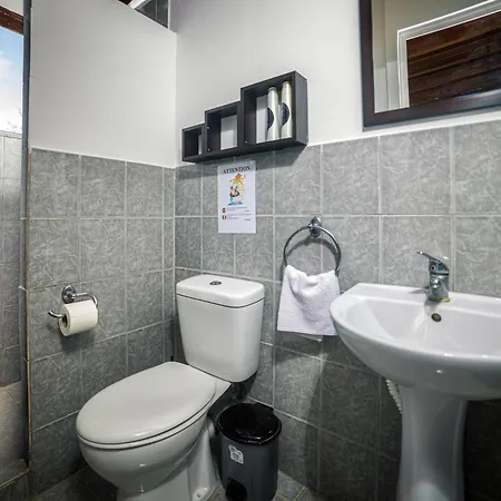 Terra Vine Collection - Raisin House *