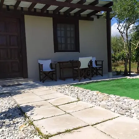 Terra Vine Collection - Raisin House *